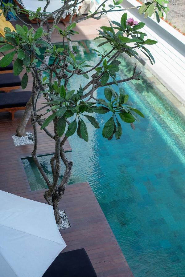 Dip & Doze Living Hostel Canggu  Exterior photo